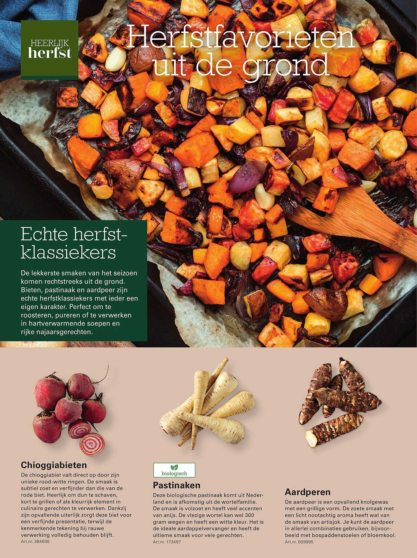 Herfstfavorieten uit de grond