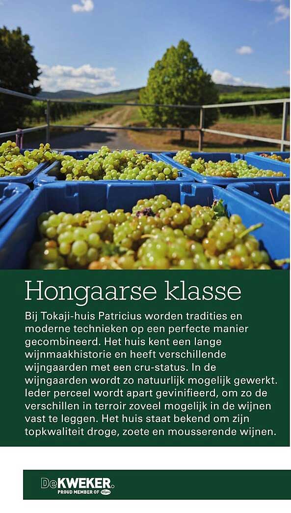 Hongaarse klasse
