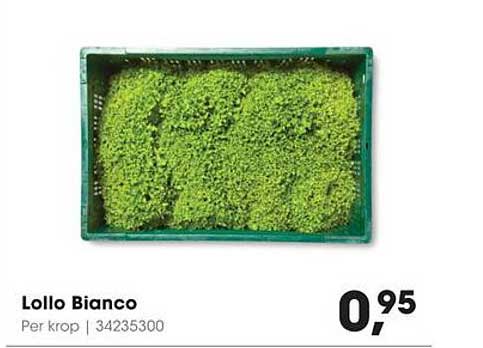 Lollo Bianco