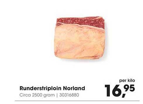 Runderstriplroin Norland