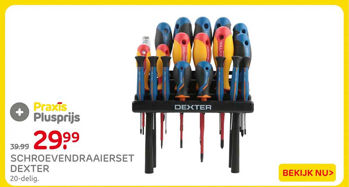 SCHROEVENDRAIERSET DEXTER 20-delig
