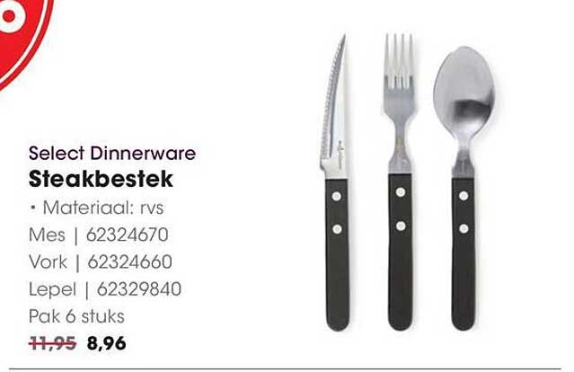 Select Dinnerware Steakbestek