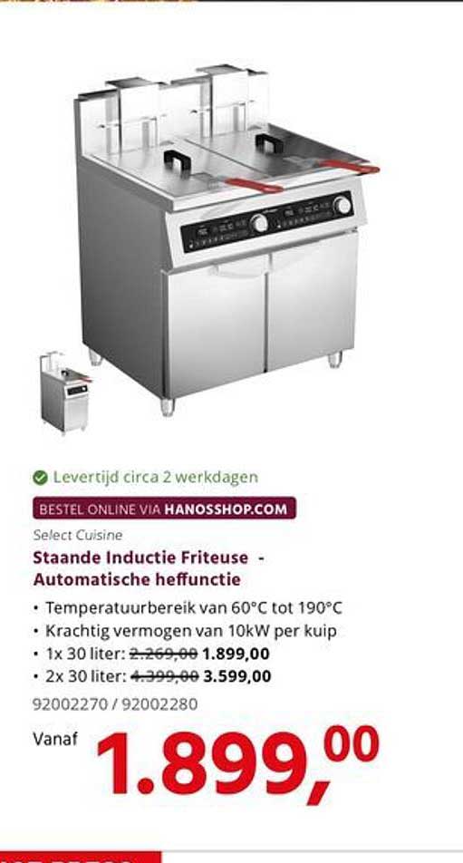 Staande Inductie Friteuse - Automatische heffunctie