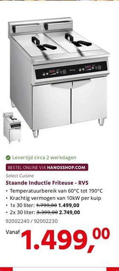 Staande Inductie Friteuse - RVS
