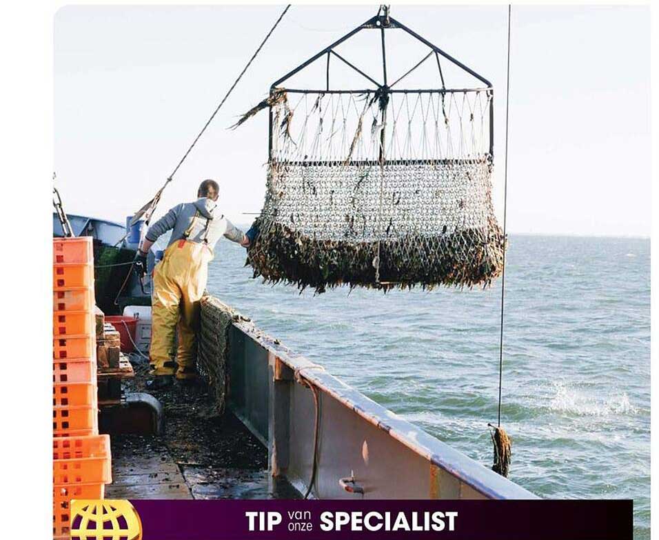 TIP van onze SPECIALIST