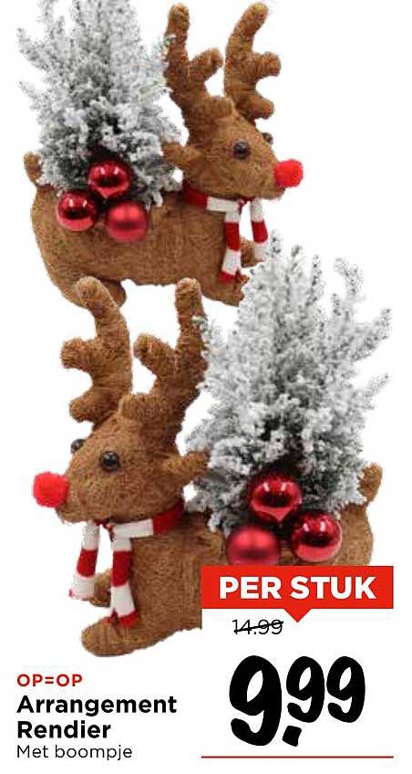 Arrangement Rendier Met boompje