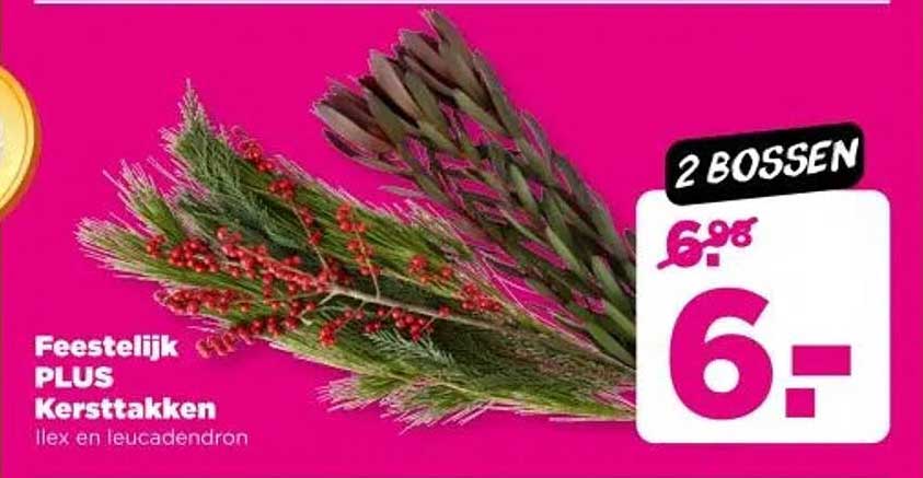 Feestelijk PLUS Kerstattakken Ilex en leucadendron