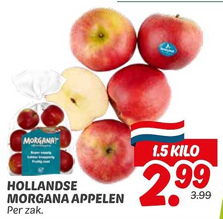 HOLLANDSE MORGANA APPLELEN