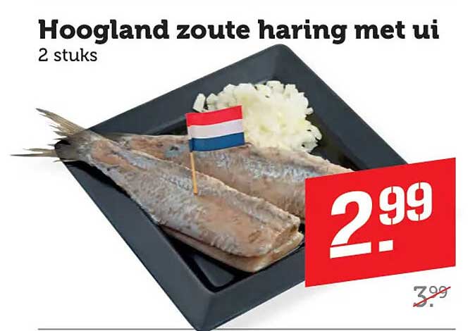 Hoogland zoute haring met ui
