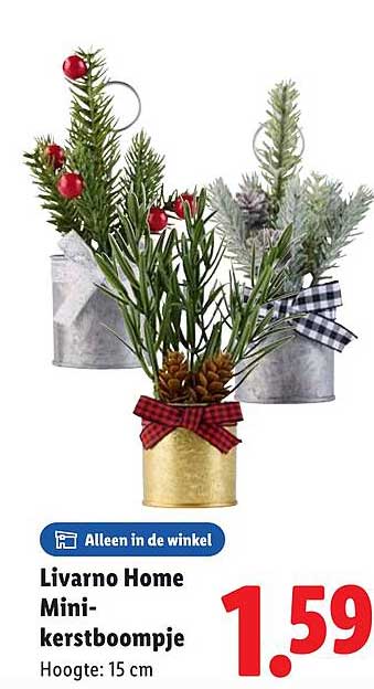 Livarno Home Mini-kerstboompje