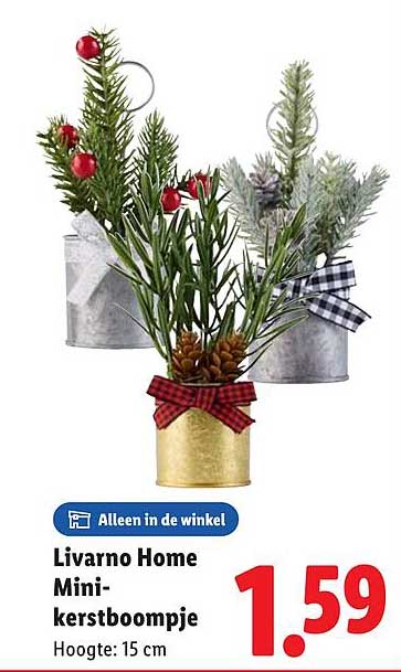 Livarno Home Mini-kerstboompje