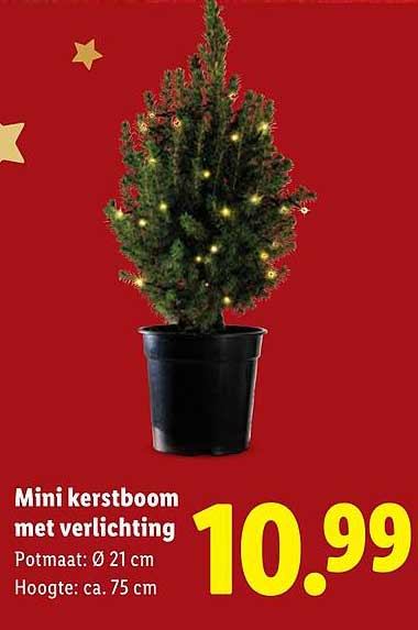 Mini kerstboom met verlichting