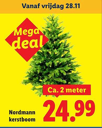 Nordmann kerstboom