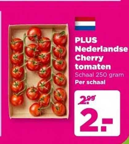 PLUS Nederlandse Cherry tomaten