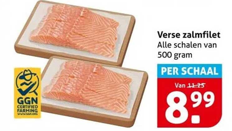 Verse zalmfilet Alle schalen van 500 gram