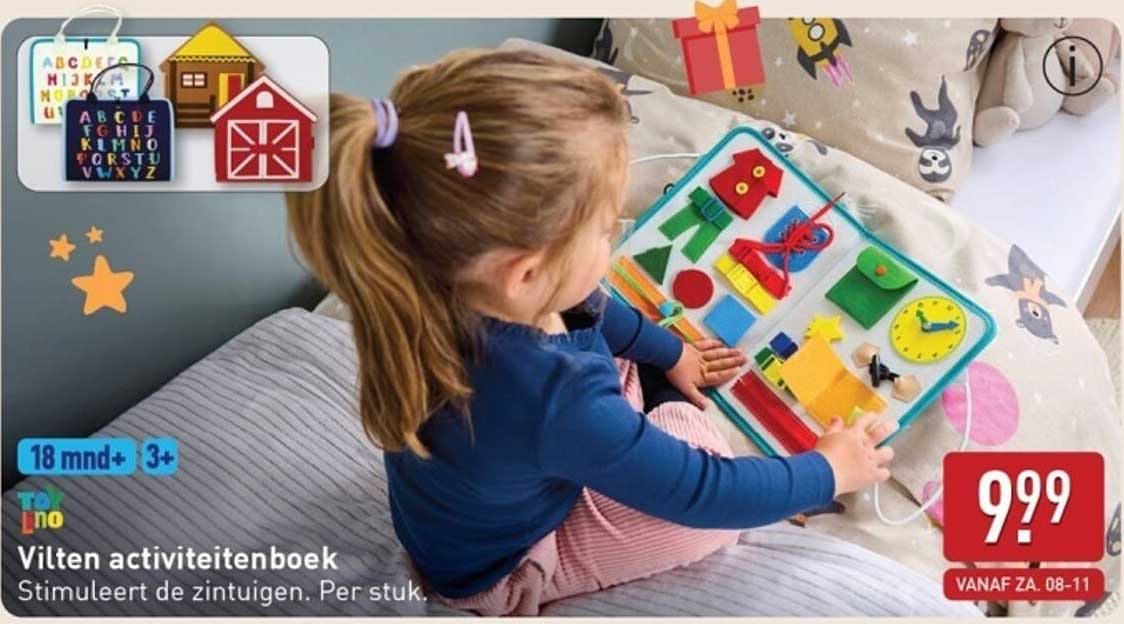 Vilten activiteitenboek