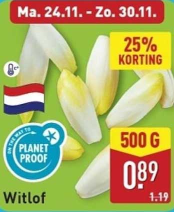 Witlof