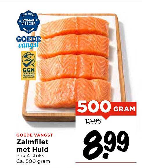 Zalmfilet met Huid