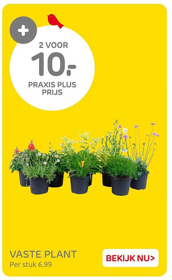 VASTE PLANT