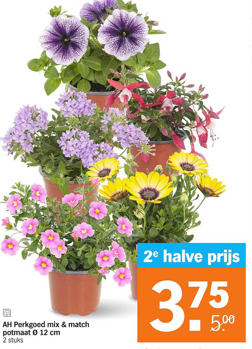 AH Perkgoed mix & match potmaat Ø 12 cm