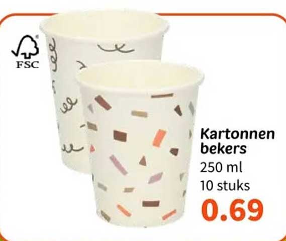 Kartonnen bekers 250 ml 10 stuks