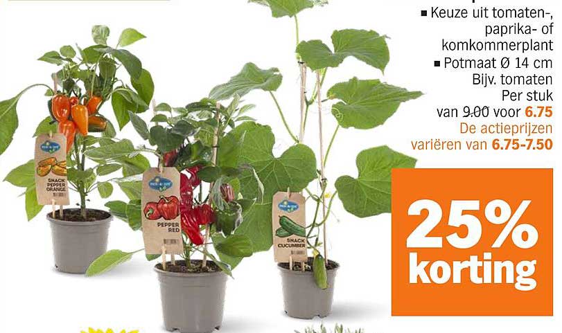 Kies uit tomaten-, paprika- of komkommerplant