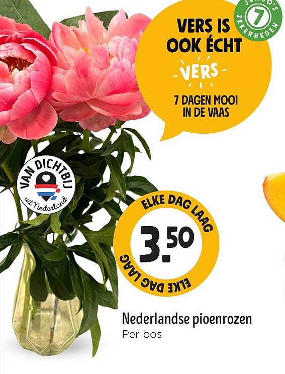 Nederlandse pioenrozen per bos