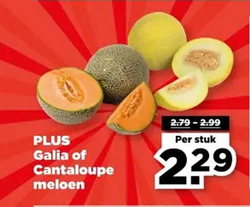 PLUS Galia of Cantaloupe meloen