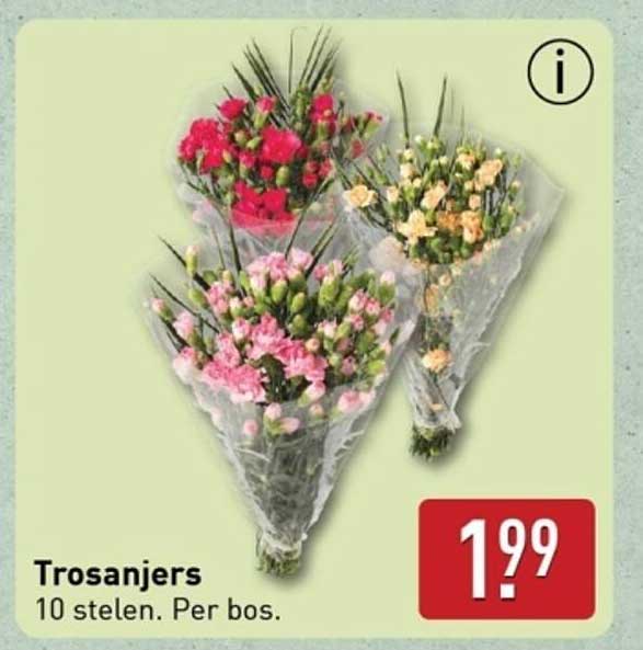 Trosanjers