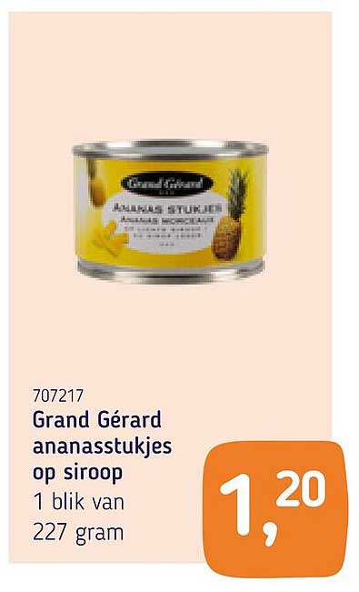Grand Gérard ananasstukjes op siroop 1 blik van 227 gram