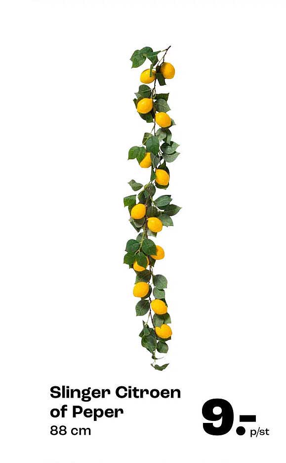 Slinger Citroen of Peper 88 cm