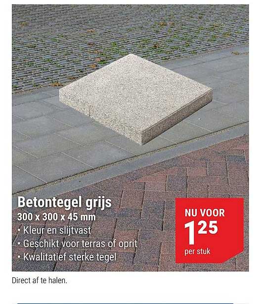 Betontegel grijs 300 x 300 x 45 mm