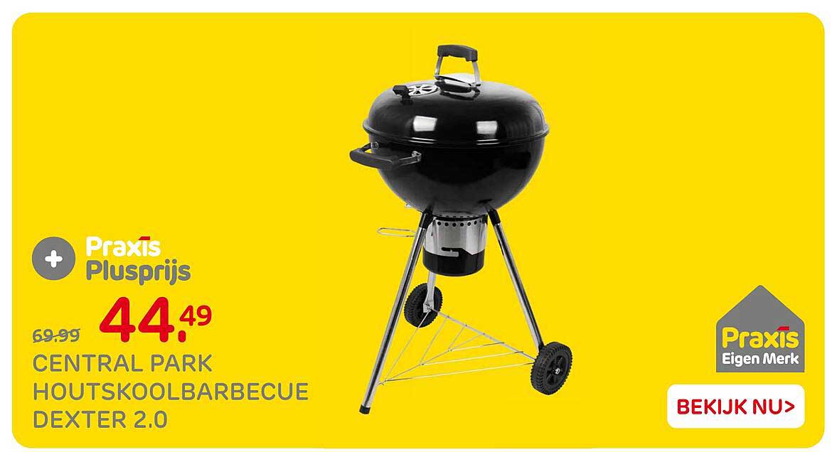CENTRAL PARK HOUTSKOOLBARBECUE DEXTER 2.0