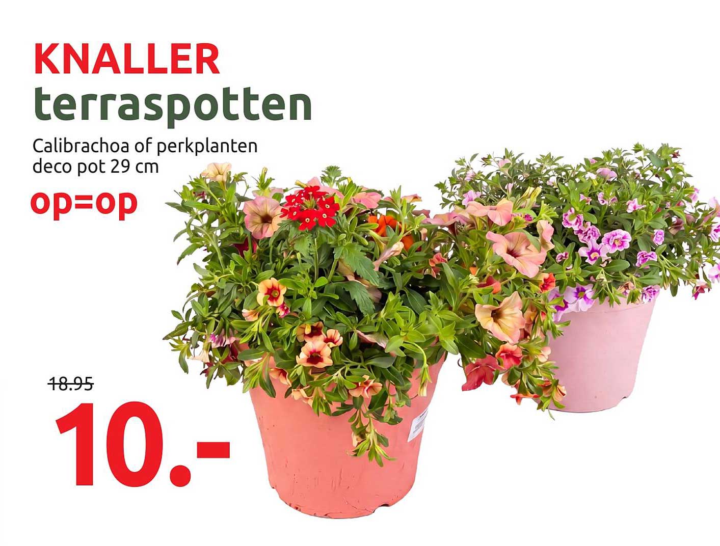 KNALLER terraspotten Calibrachoa of perkplanten deco pot 29 cm op=op