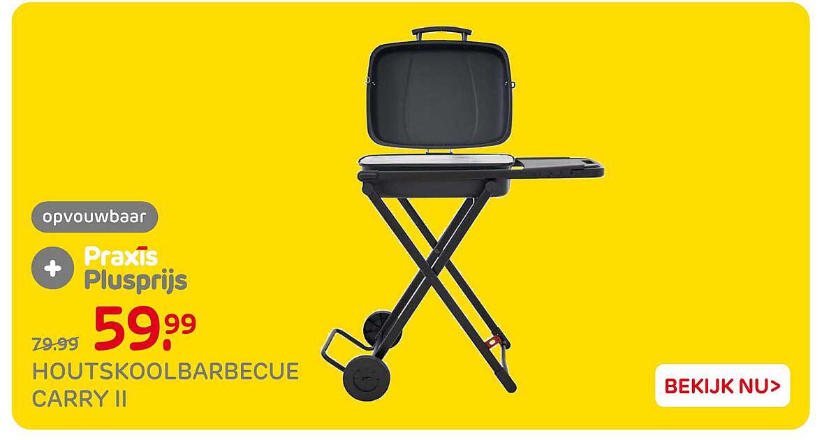 opvouwbaar Praxis Plusprijs HOUTSKOOLBARBECUE CARRY II