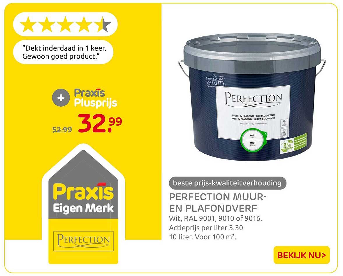 PERFECTION MUUR- EN PLAFONDVERF
