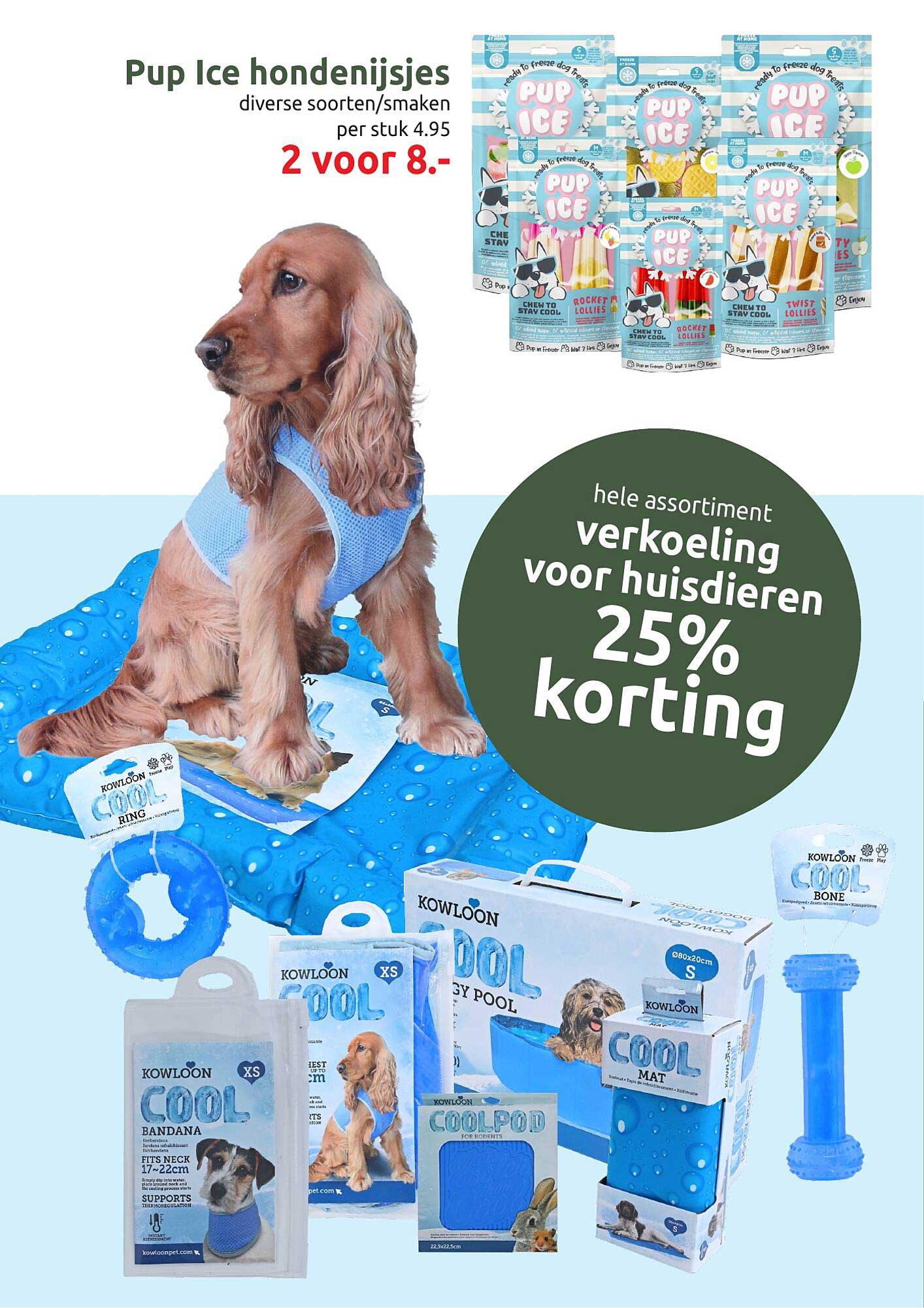 Pup Ice hondenijsjes