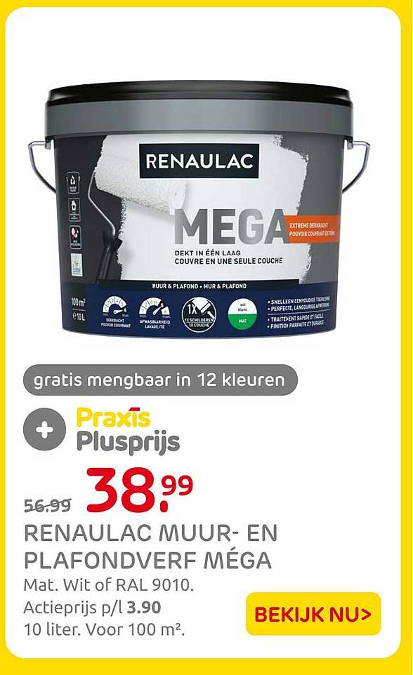 RENAULAC MUUR- EN PLAFONDVERF MÉGA gratis mengbaar in 12 kleuren