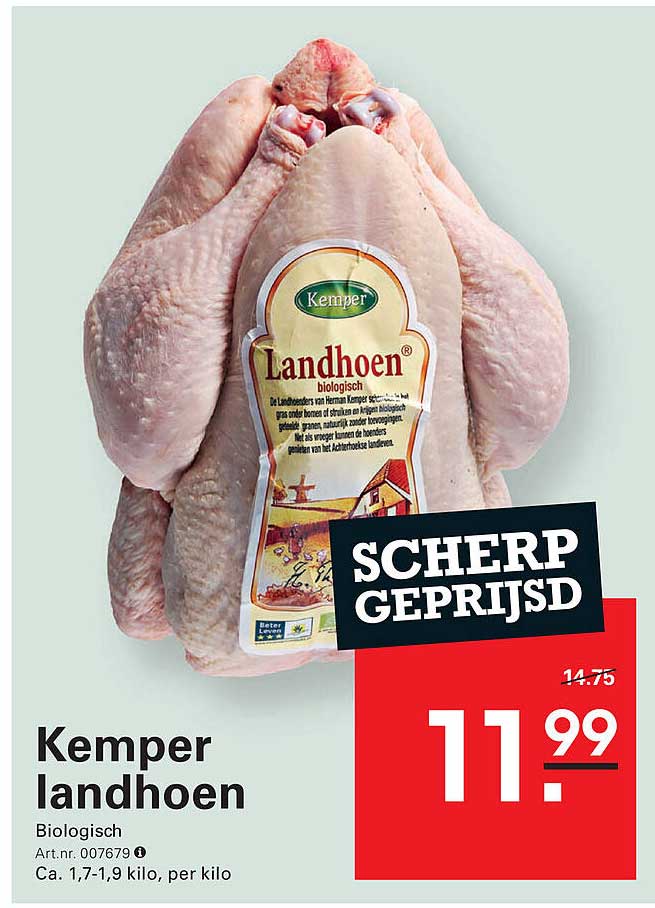 Kemper landhoen