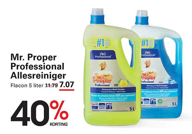 Mr. Proper Professional Allesreiniger