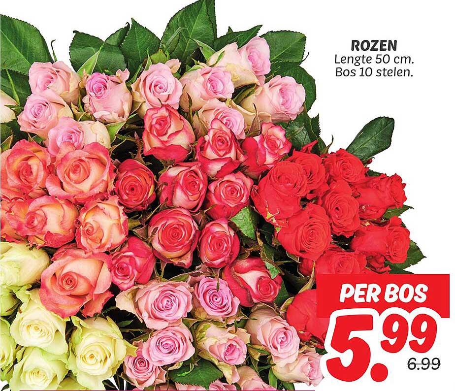 Rozenset Bos 10 stelen