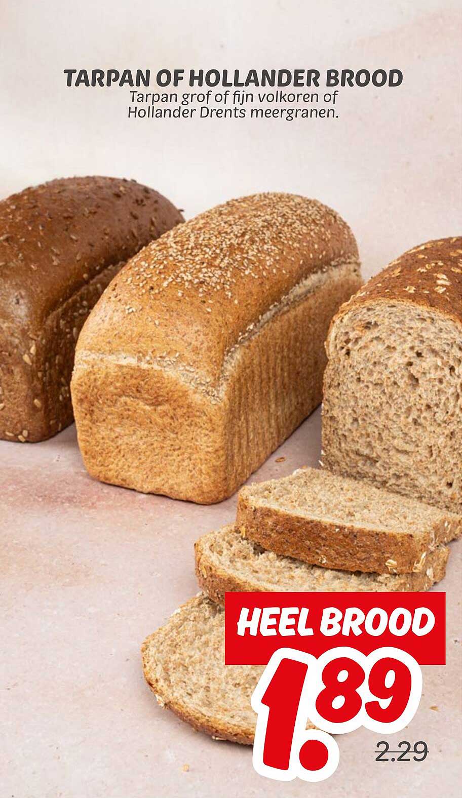 TARPAN OF HOLLANDER BROOD
