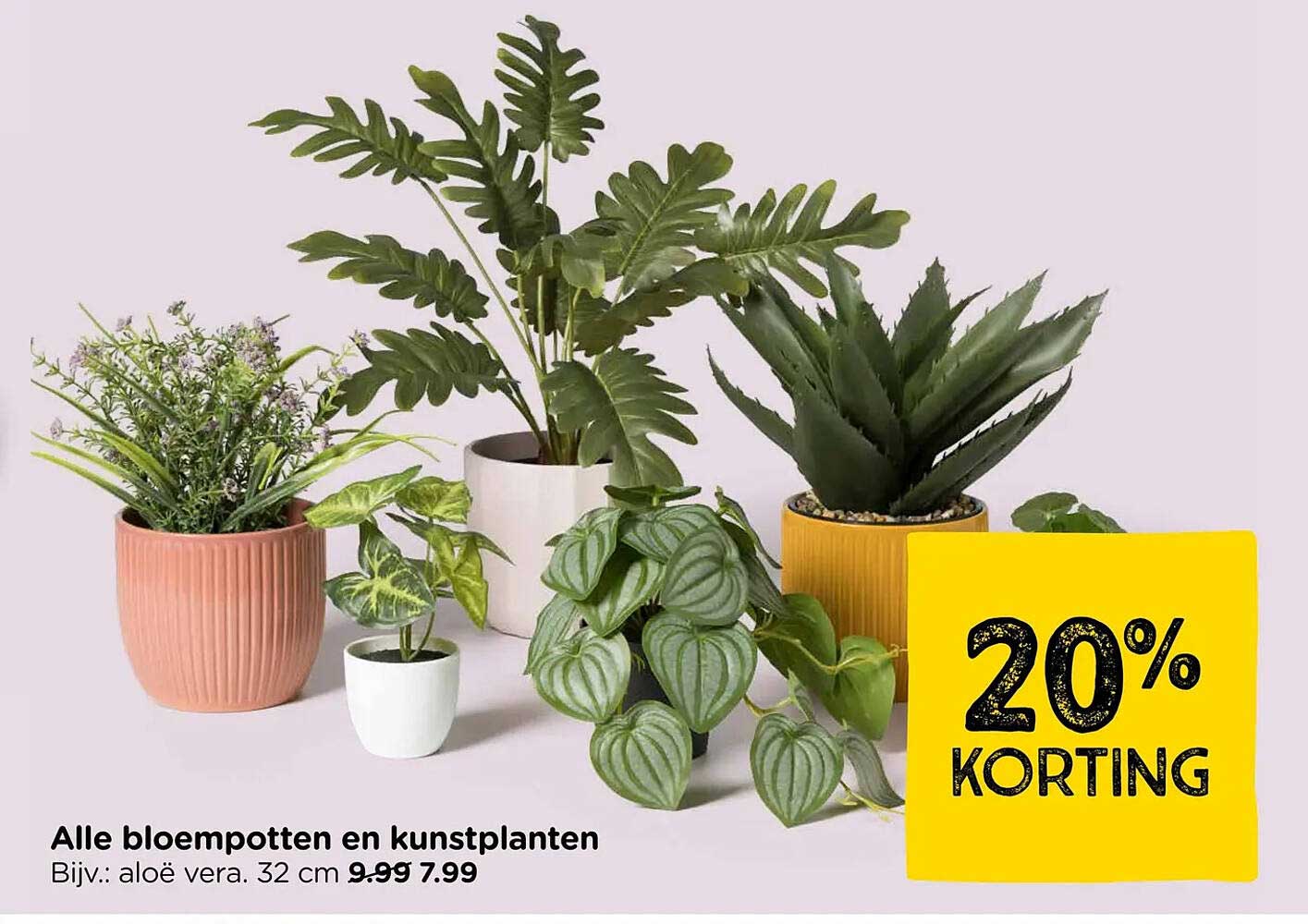 Alle bloempotten en kunstplanten 20% KORTING