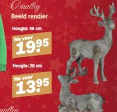 Beeld rendier