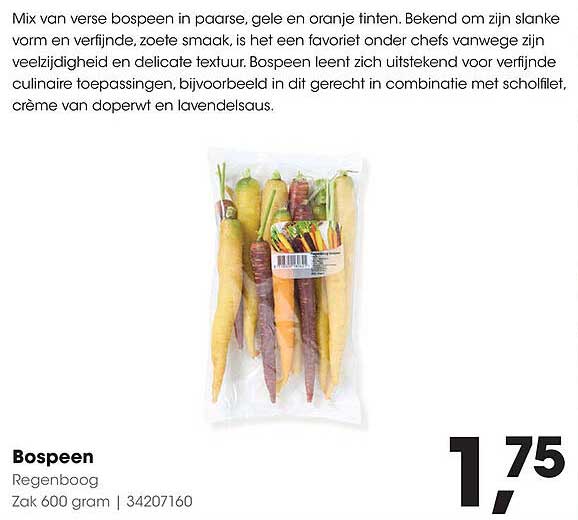 Bospeen Regenboog