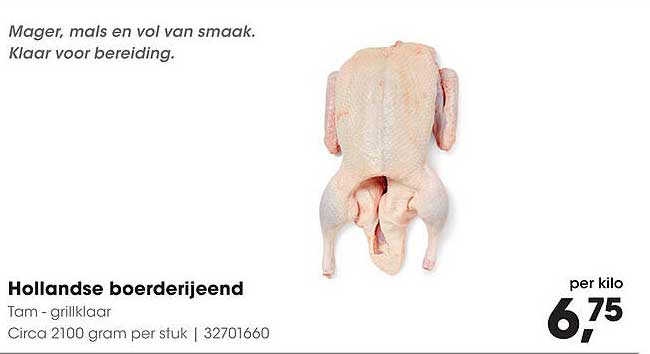 Hollandse boerderij-eend