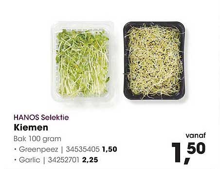 Kiemen