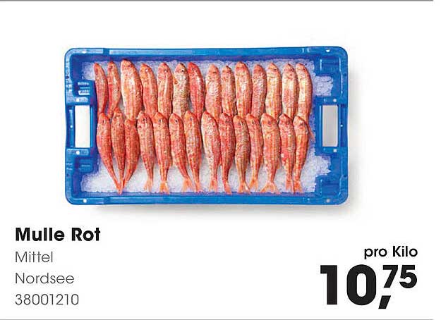 Mulle Rot