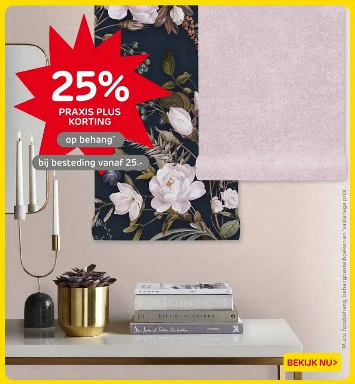 25% PRAKIS PLUS KORTING op behang bij besteding vanaf 25.