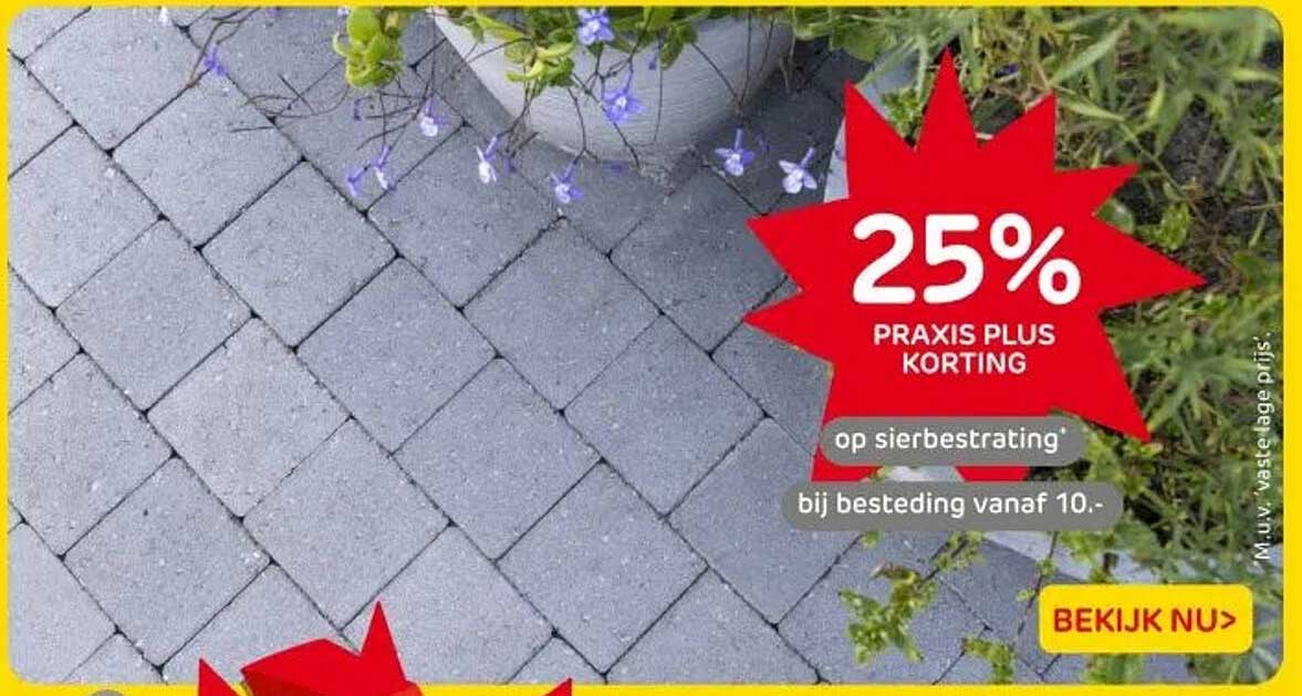 25% PRAKIS PLUS KORTING op sierbestrating bij besteding vanaf 10.-